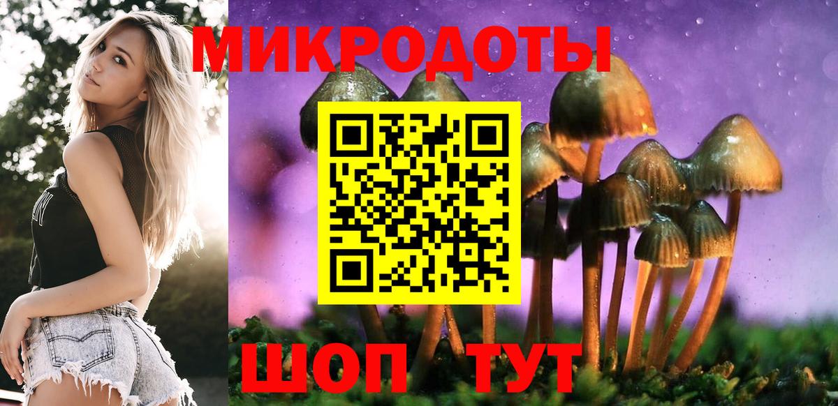 Галлюциногенные грибы MAGIC MUSHROOMS Кандалакша